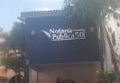 Notaria Publica 50